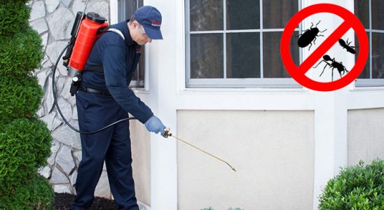 Balıkesir Fare İlaçlama böcek ilaçlama ve haşere kontrolü — ilaclama-tr.com